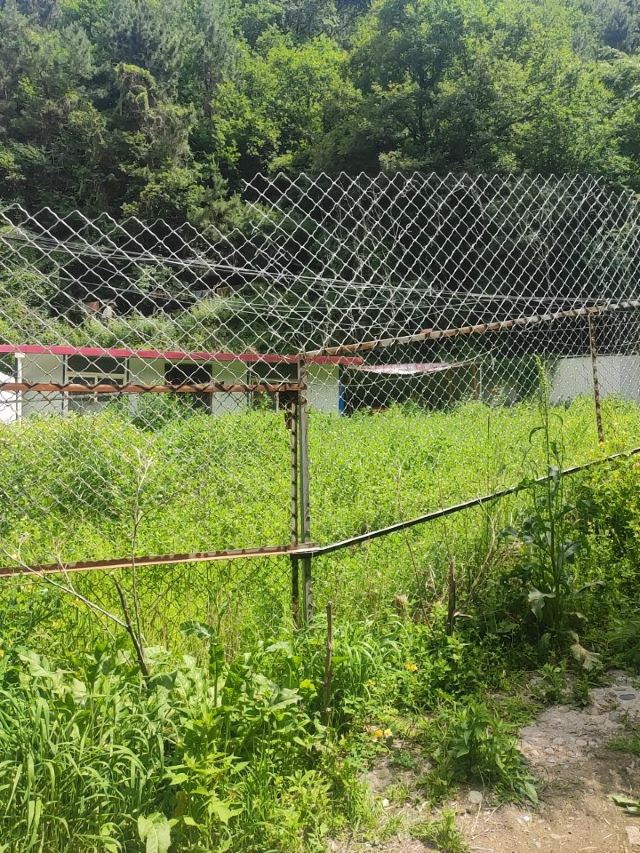 兰州石佛沟国家森林公园旅行图片 3