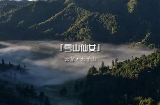 云龙最美的、最神秘的不是「八卦」，而是「天子山」！
