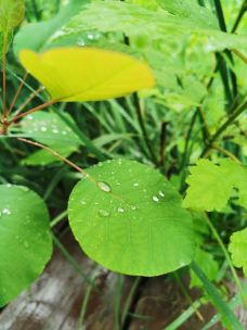 万寿公园-北京-YoYo_2W2Q3L5U