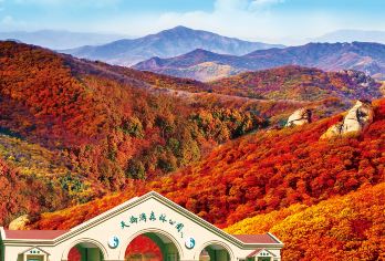 丹东天桥沟·莲花峰·一线天景区包车一日游【应季景致：特色赏枫叶主题游览线路，游走脚下枫林美景。】
