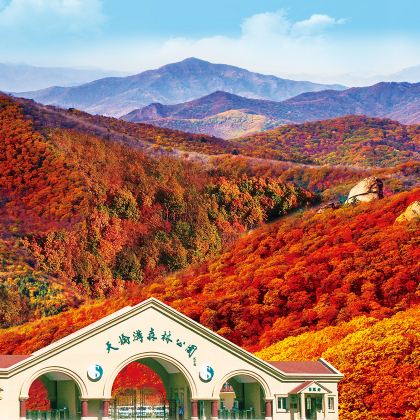 丹东天桥沟·莲花峰·一线天景区包车一日游