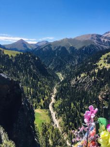 尕尔寺大峡谷生态旅游区-囊谦-不可触碰撞的鱼