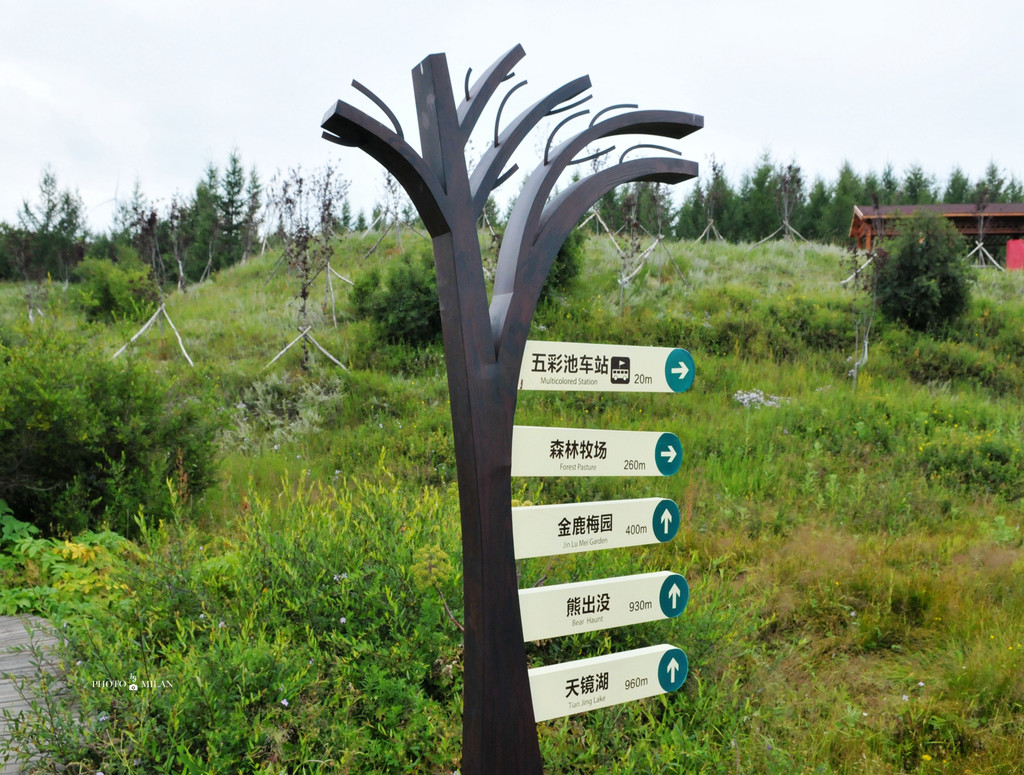 丰宁坝上七彩森林，三天的旅游玩法，请收藏！ - 丰宁游记攻略【携程攻略】
