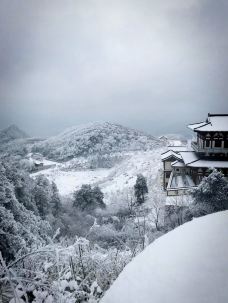 阳宝山旅游度假区-贵定-肥肥熊