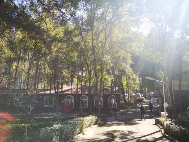 喜园婚礼文化主题公园旅行图片 1