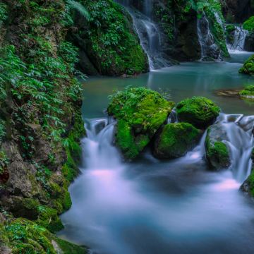 重庆黑山谷风景区一日游【vip私家包车、含门票，上门接送】
