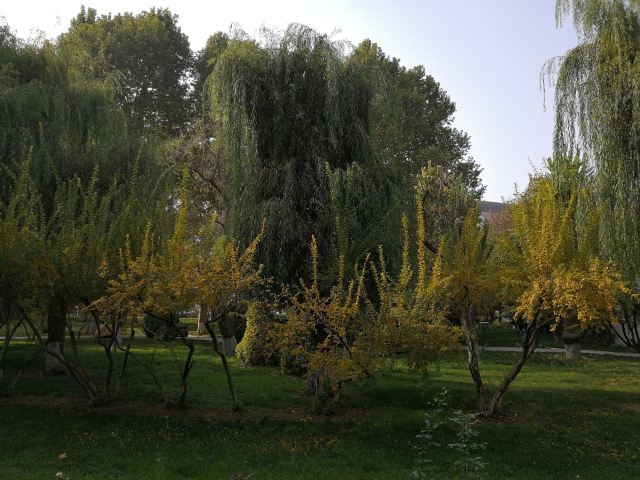世纪公园旅行图片 1