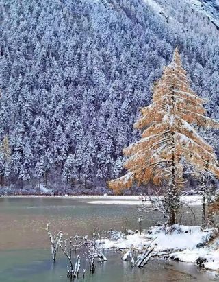 开往最美阿坝！这条冬日康养路线一网打尽风光，每一处都太惊艳！