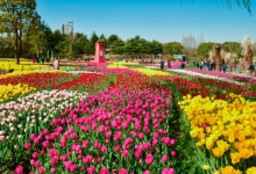 大宁公园景点图片