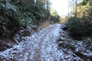 政和县东平镇护田村游记——五探万松山（四）