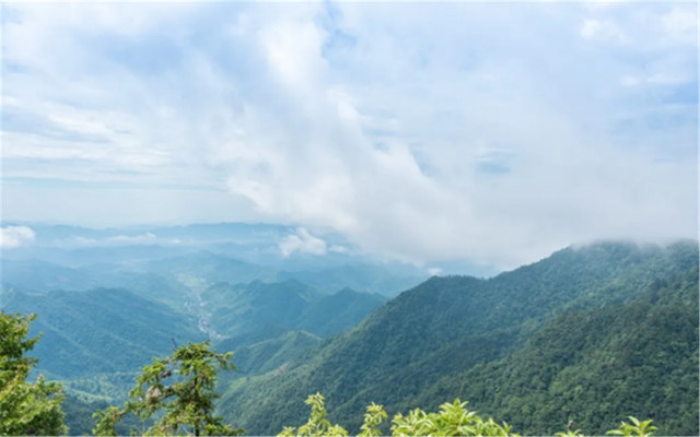 杭州天目山红色旅游路线推荐