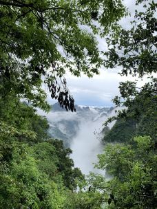 柴埠溪大峡谷-五峰-落叶无痕dx