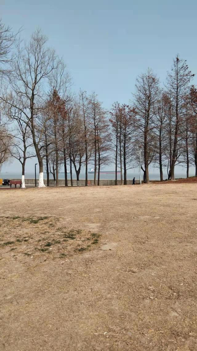 滨江大道旅行图片 1