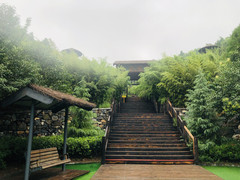善应镇游记图片] 景区免门票的套路，你中过招吗？