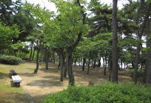 须磨浦公园景点图片