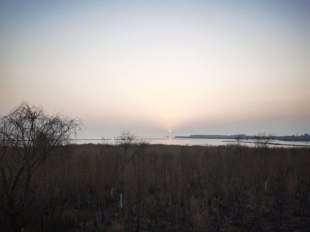 巢湖湿地旅行图片 2