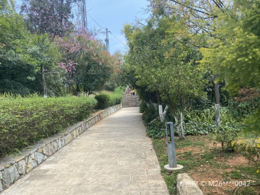 五脑山生态公园