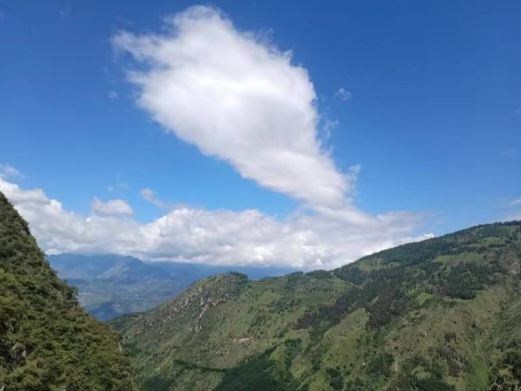 东川森林公园