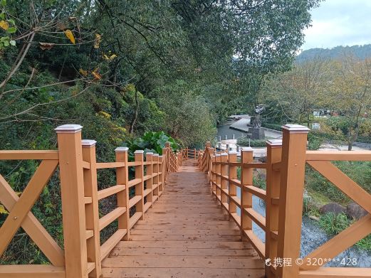 浙江省龙渊森林公园