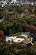 3-Day Chengdu Tour: From Wuhou Shrine to Dujiangyan, Panda Encounters and Cultural Fusion