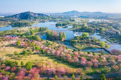 上海辰山植物园