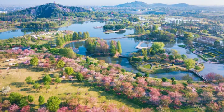 上海辰山植物園