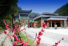 桃花冲森林公园景点图片