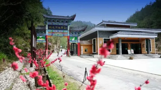 桃花沖森林公園