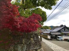 金戒光明寺-京都-东京浪人
