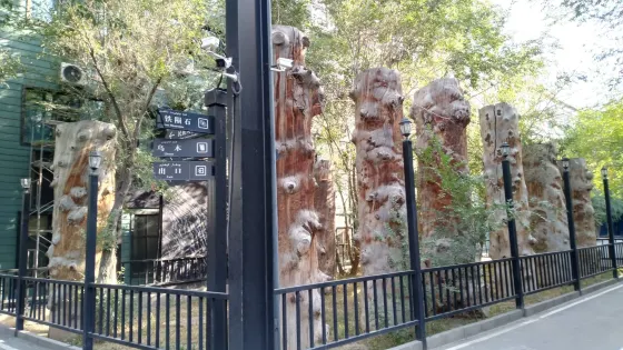 硅化木恐龍國家地質公園