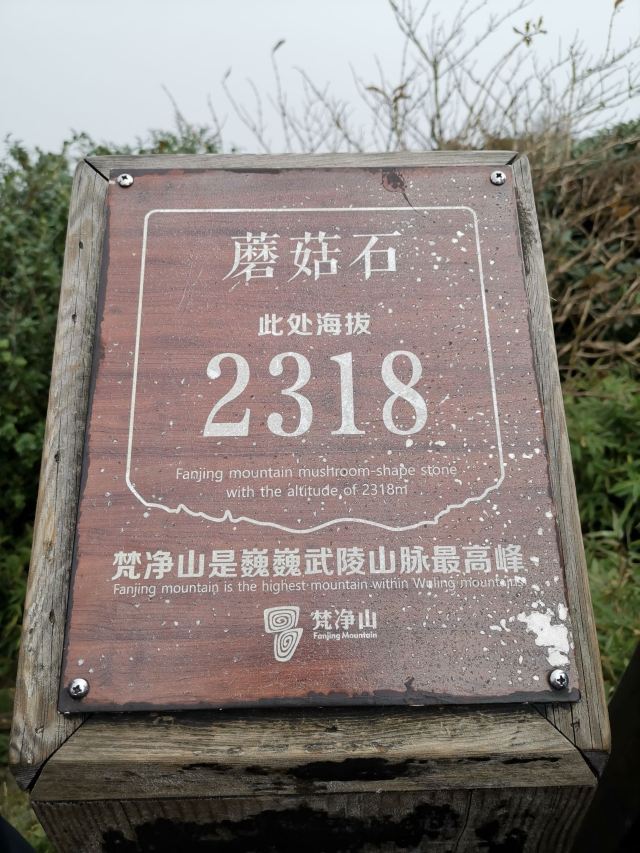 梵净山公园旅行图片 13
