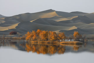 行摄南疆胡杨，探秘恶魔之眼，穿行火星俄博梁（2020.10.28-11.07）