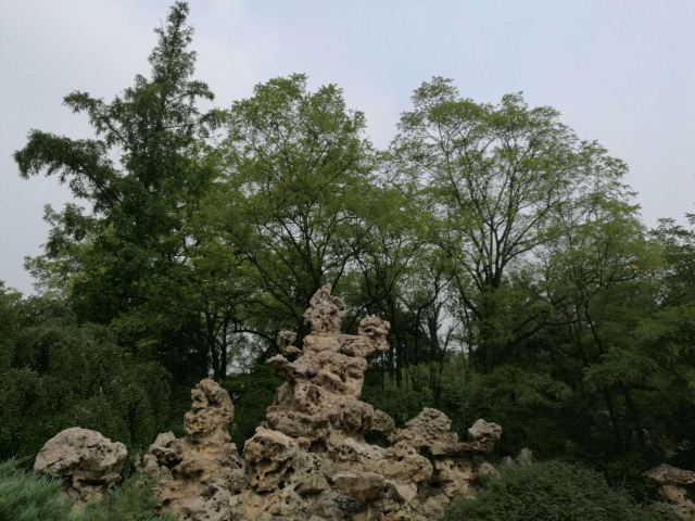 北京东单公园游玩攻略简介,北京东单公园门票/地址/图片/开放时间/照片/门票价格【携程攻略】
