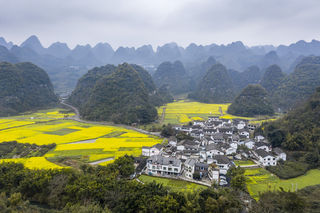 看山，看水，看菜花----2021年春节周边自驾游