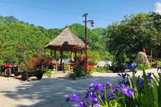 休闲度假惬意哪里？汉中明珠佛坪，好看好吃还好玩