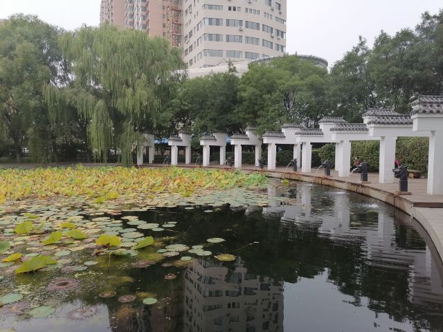 青城公园旅行图片 3