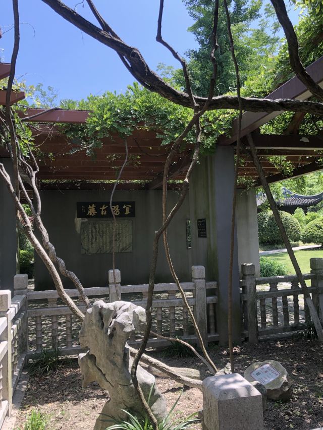 古藤园旅行图片 7