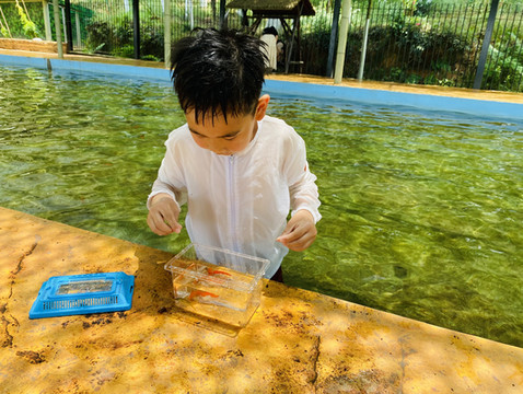 六一湖州亲子游三天两晚保姆级攻略