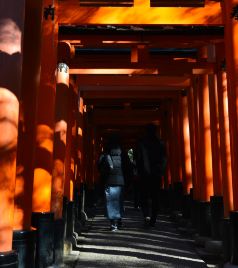 兵库县游记图文-雨中白川乡、风雪高野山、城堡翘楚姬路城、小京都金泽、飞驒高山—2020年1月 日本北陆、关西9日游