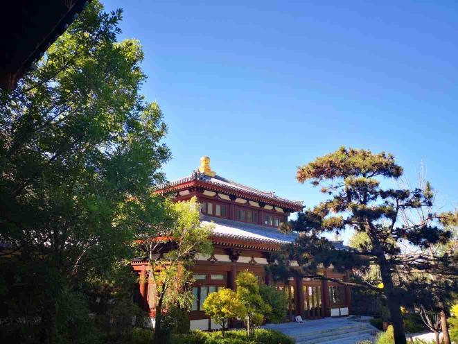 珺唐酒店唐苑中餐厅餐厅图片