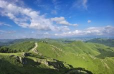 百里天路-丰宁-黑牡丹-旅行