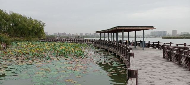水上公园旅行图片 10