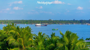 万绿园/友谊阳光城游记图文-元旦出行计划