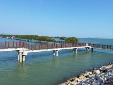 水东湾-茂名-叶子云游