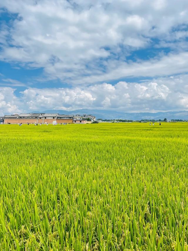 龙里大草原景区旅行图片 2