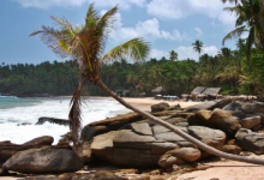 Goyambokka Beach景点图片