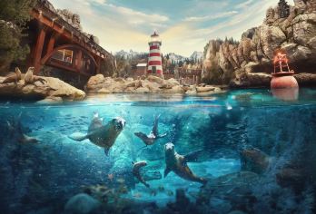 阿联酋迪拜谢赫扎耶德大清真寺+阿布扎比海洋世界+亚斯岛一日游【法拉利主题公园 世界醉快云霄飞车， ️全球维一的法拉利主题公园。】