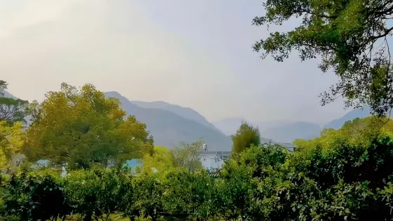 渡頭村
