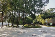 乌君洲公园景点图片