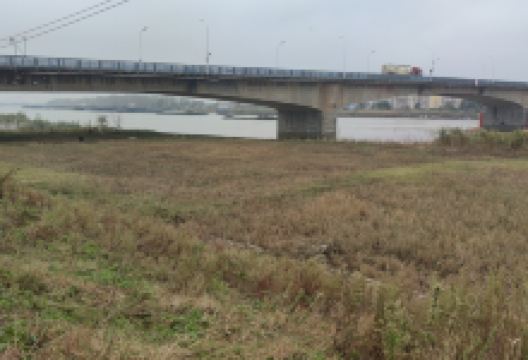 大桥公园景点图片